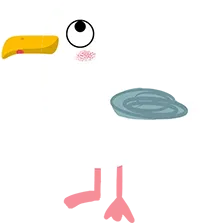 Baby Möwe Baby Möwe