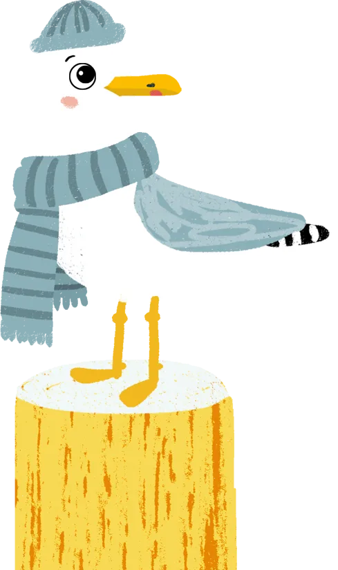 Möwe